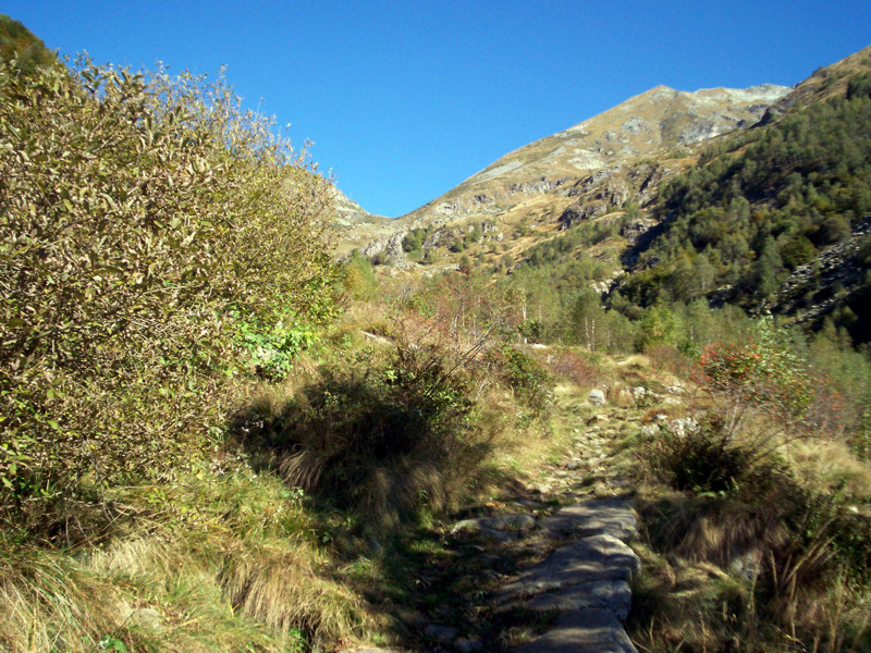 Colle del Croso